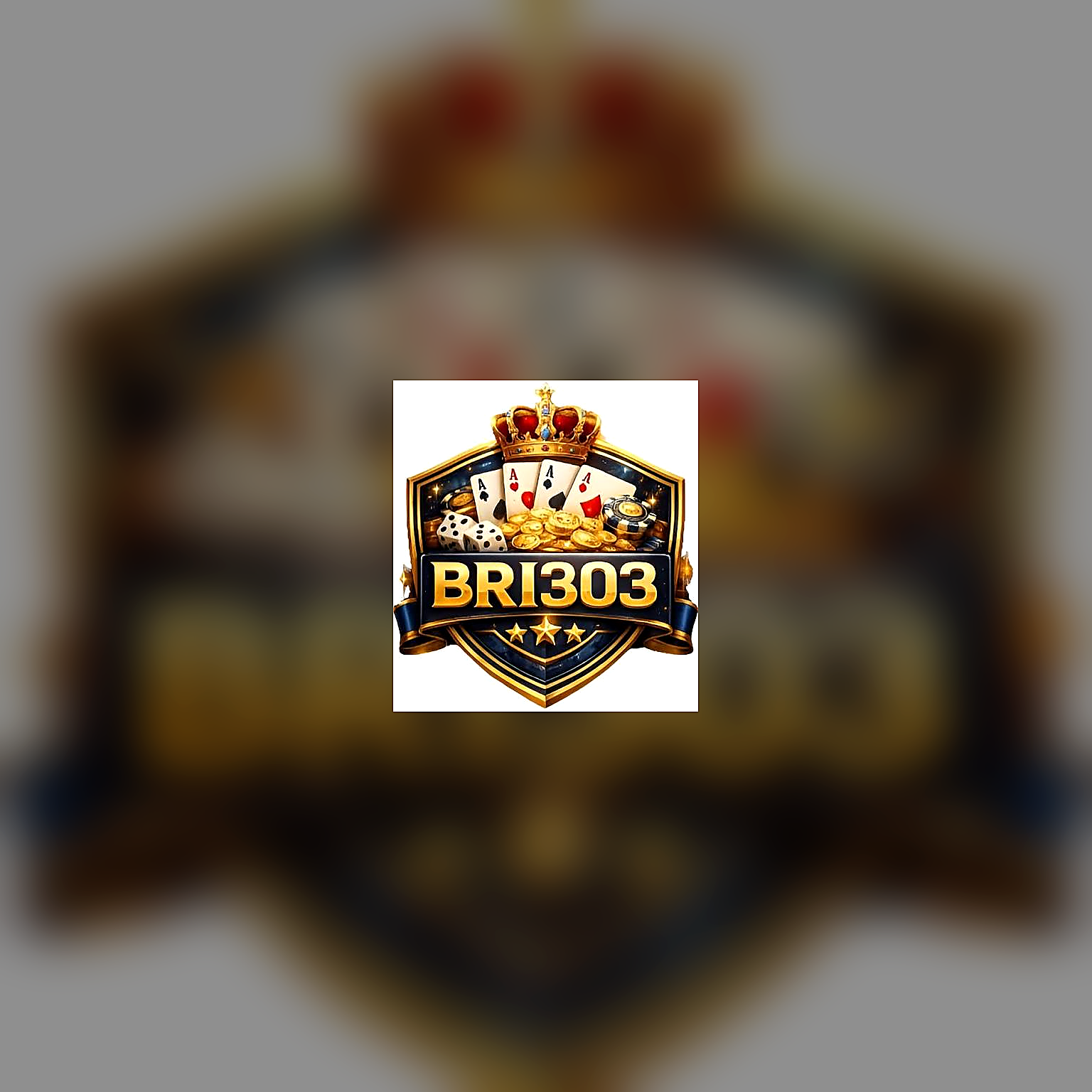 bri303 Preview