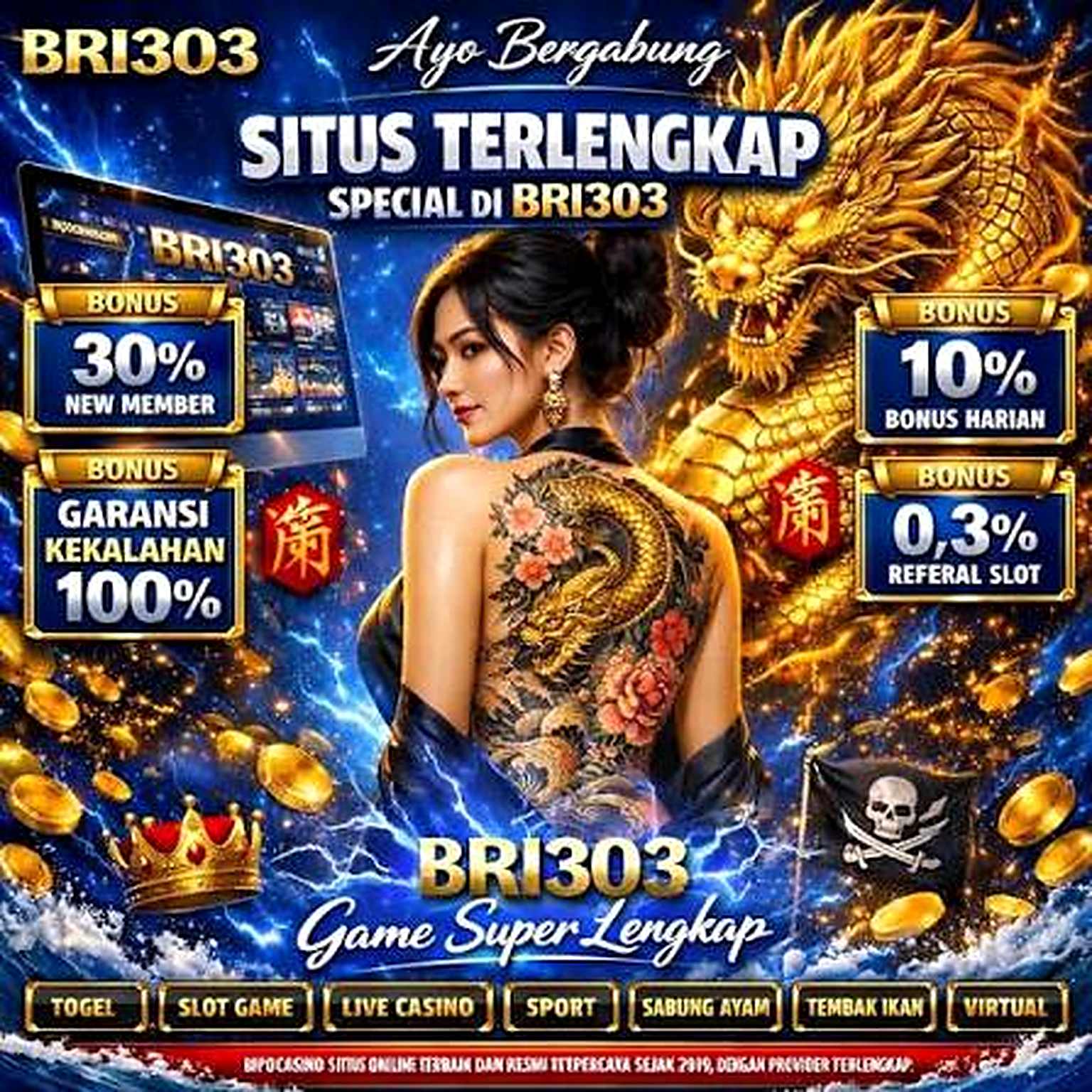 bri303 Screenshot